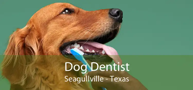 Dog Dentist Seagullville - Texas