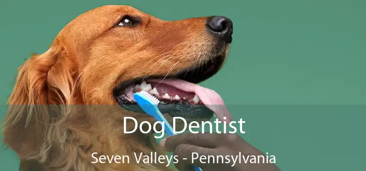 Dog Dentist Seven Valleys - Pennsylvania