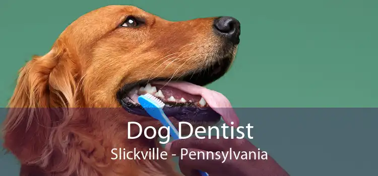Dog Dentist Slickville - Pennsylvania