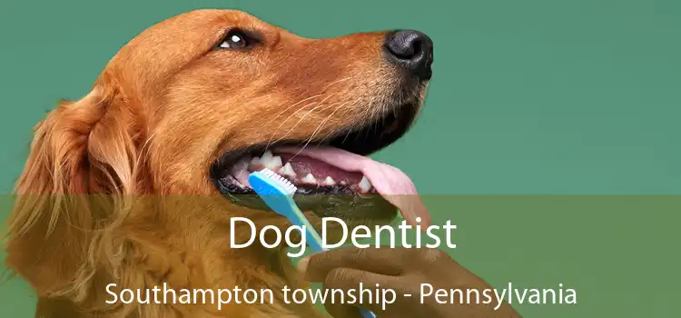 Dog Dentist Southampton township - Pennsylvania