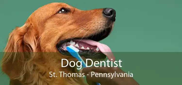 Dog Dentist St. Thomas - Pennsylvania