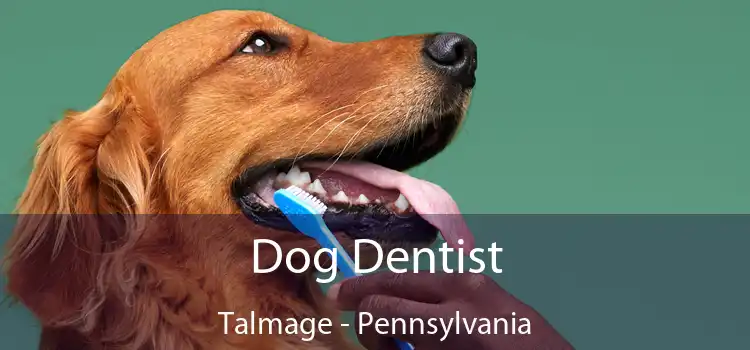 Dog Dentist Talmage - Pennsylvania