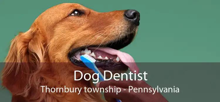 Dog Dentist Thornbury township - Pennsylvania