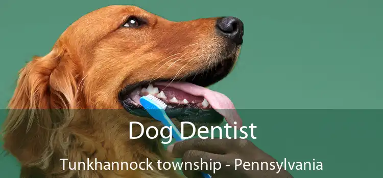Dog Dentist Tunkhannock township - Pennsylvania