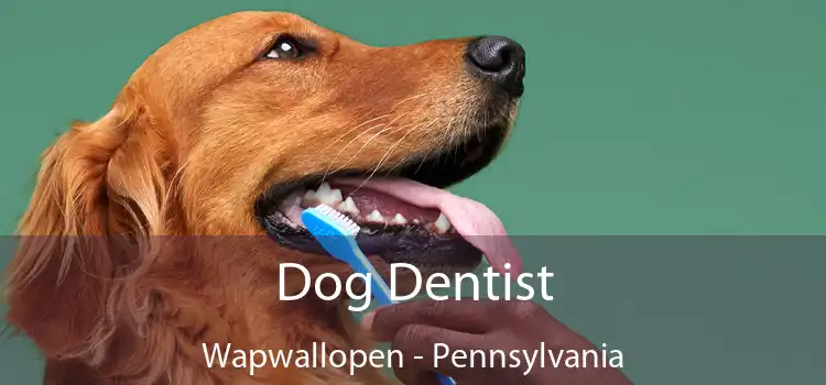 Dog Dentist Wapwallopen - Pennsylvania