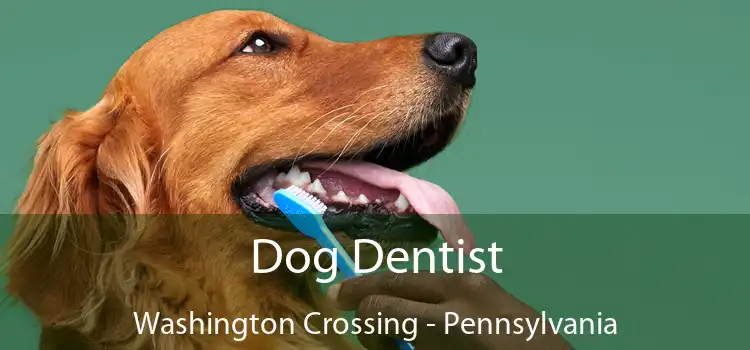 Dog Dentist Washington Crossing - Pennsylvania