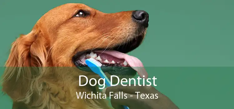 Dog Dentist Wichita Falls - Texas
