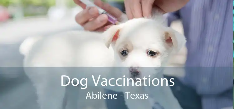 Dog Vaccinations Abilene - Texas