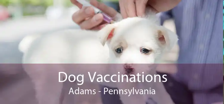 Dog Vaccinations Adams - Pennsylvania