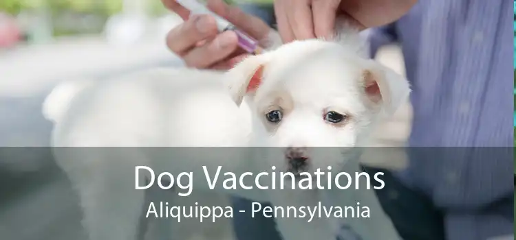 Dog Vaccinations Aliquippa - Pennsylvania