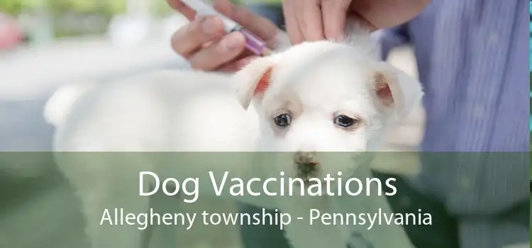 Dog Vaccinations Allegheny township - Pennsylvania