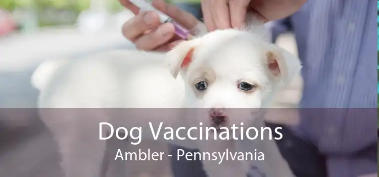 Dog Vaccinations Ambler - Pennsylvania