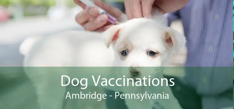 Dog Vaccinations Ambridge - Pennsylvania