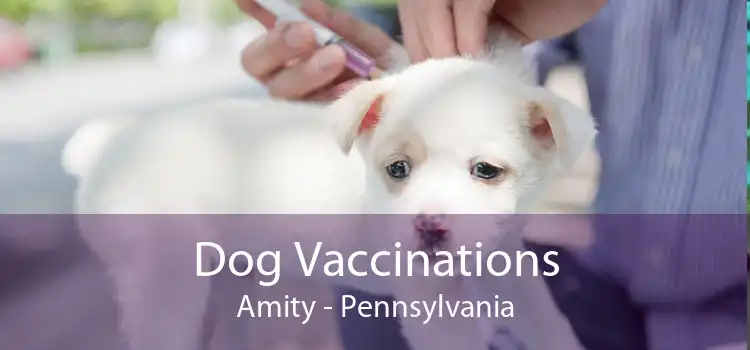 Dog Vaccinations Amity - Pennsylvania