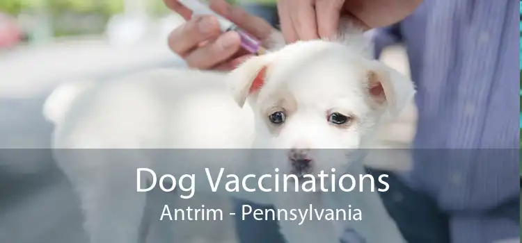 Dog Vaccinations Antrim - Pennsylvania