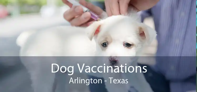 Dog Vaccinations Arlington - Texas