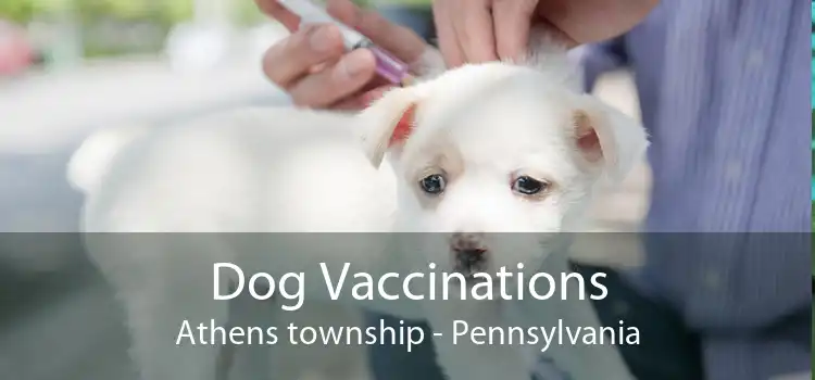 Dog Vaccinations Athens township - Pennsylvania