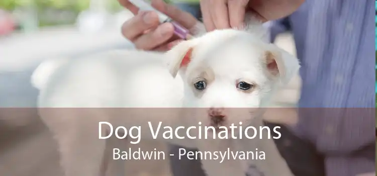 Dog Vaccinations Baldwin - Pennsylvania