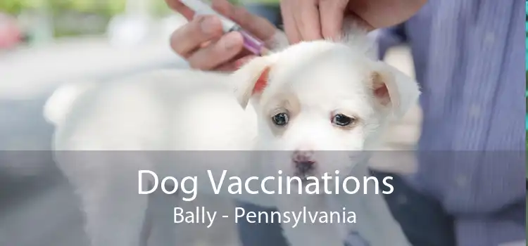 Dog Vaccinations Bally - Pennsylvania