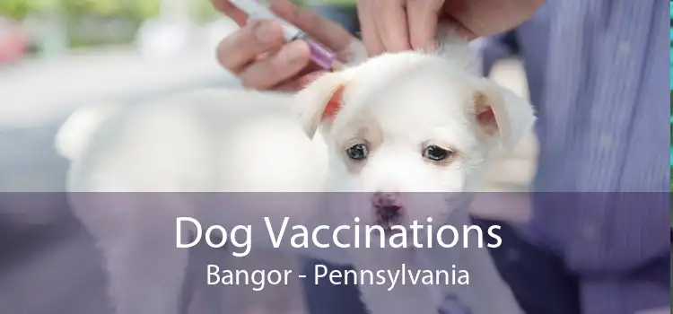 Dog Vaccinations Bangor - Pennsylvania