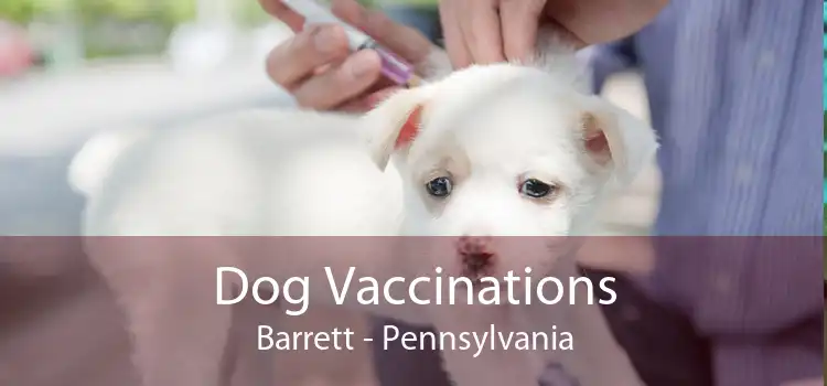 Dog Vaccinations Barrett - Pennsylvania