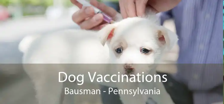 Dog Vaccinations Bausman - Pennsylvania