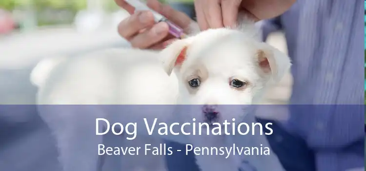 Dog Vaccinations Beaver Falls - Pennsylvania