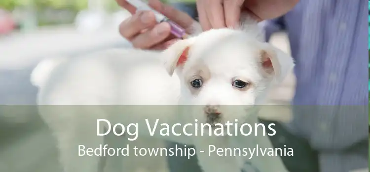 Dog Vaccinations Bedford township - Pennsylvania
