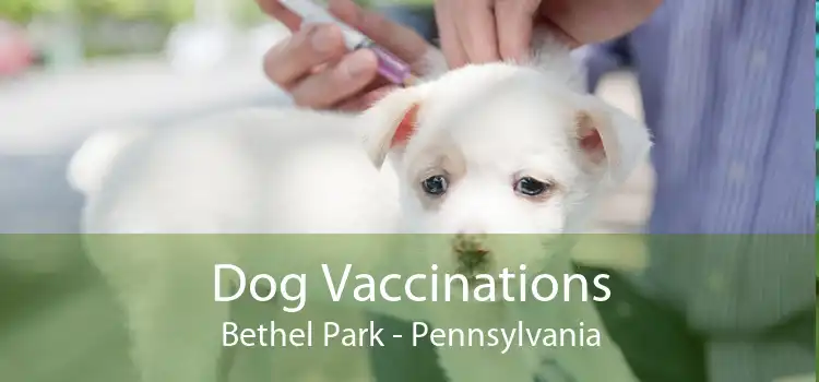 Dog Vaccinations Bethel Park - Pennsylvania