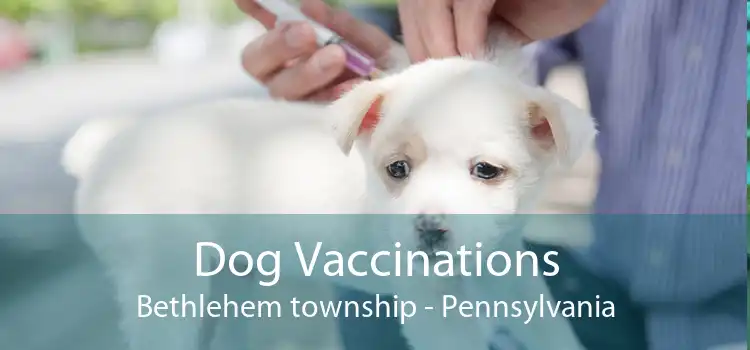 Dog Vaccinations Bethlehem township - Pennsylvania
