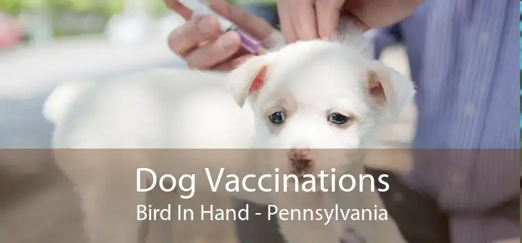 Dog Vaccinations Bird In Hand - Pennsylvania