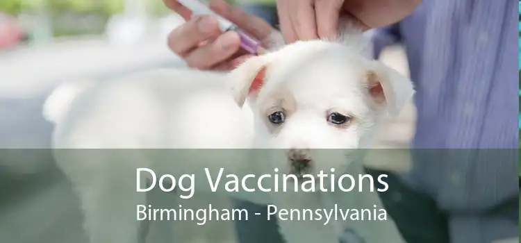 Dog Vaccinations Birmingham - Pennsylvania