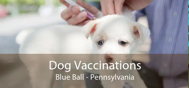 Dog Vaccinations Blue Ball - Pennsylvania