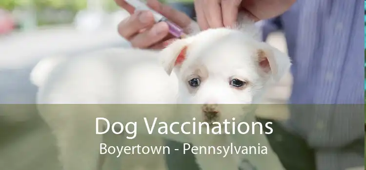 Dog Vaccinations Boyertown - Pennsylvania