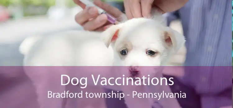 Dog Vaccinations Bradford township - Pennsylvania