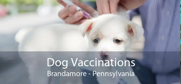 Dog Vaccinations Brandamore - Pennsylvania