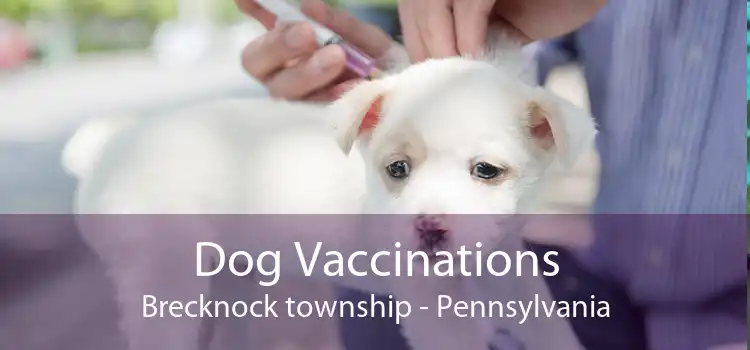 Dog Vaccinations Brecknock township - Pennsylvania