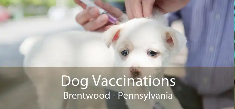Dog Vaccinations Brentwood - Pennsylvania