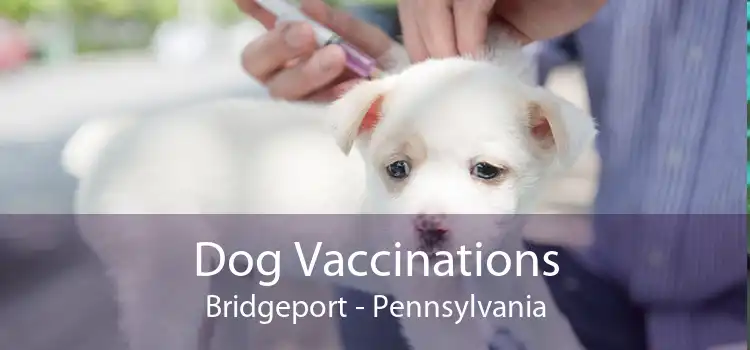 Dog Vaccinations Bridgeport - Pennsylvania