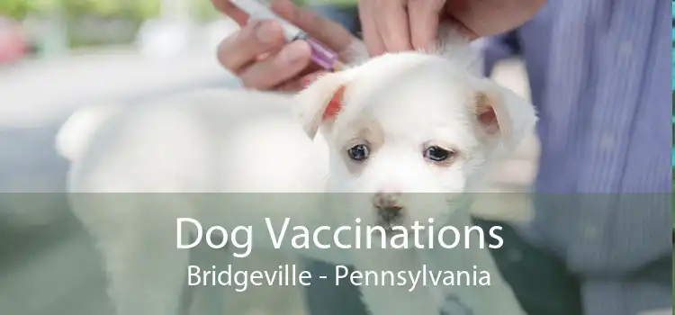 Dog Vaccinations Bridgeville - Pennsylvania