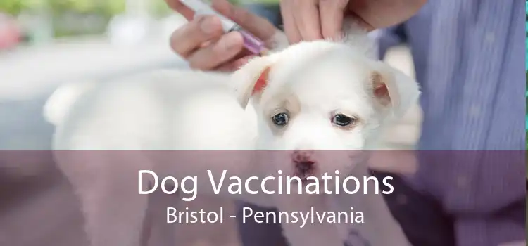 Dog Vaccinations Bristol - Pennsylvania
