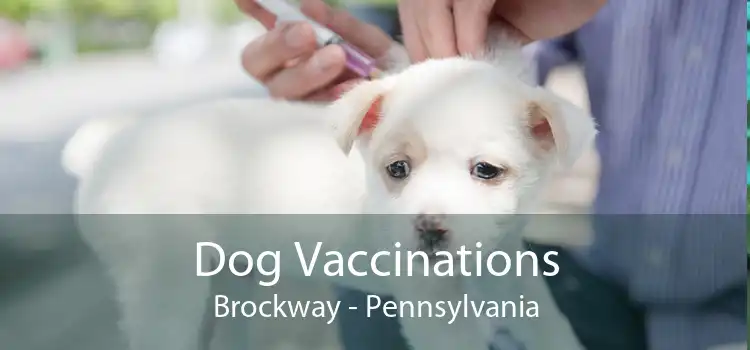 Dog Vaccinations Brockway - Pennsylvania