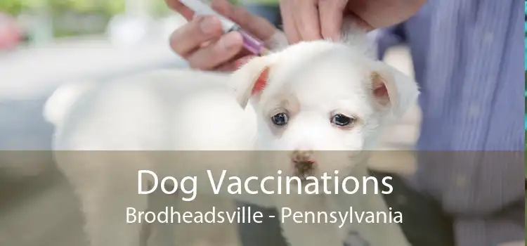 Dog Vaccinations Brodheadsville - Pennsylvania