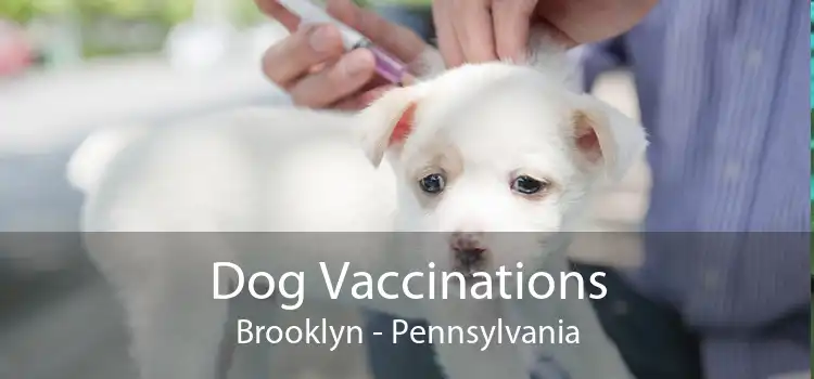 Dog Vaccinations Brooklyn - Pennsylvania