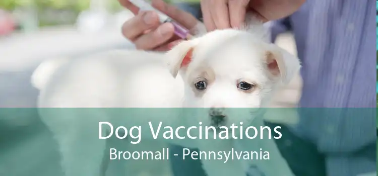 Dog Vaccinations Broomall - Pennsylvania