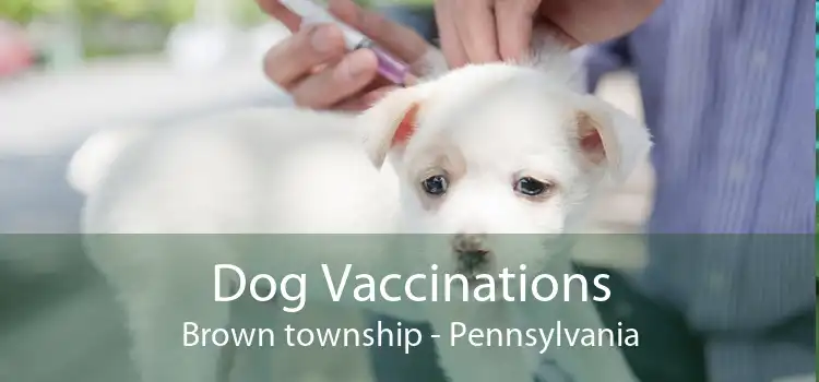 Dog Vaccinations Brown township - Pennsylvania