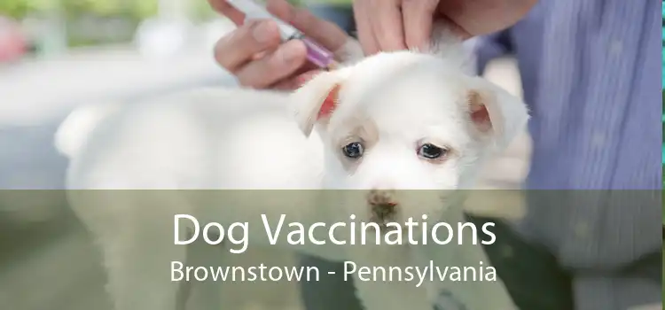 Dog Vaccinations Brownstown - Pennsylvania