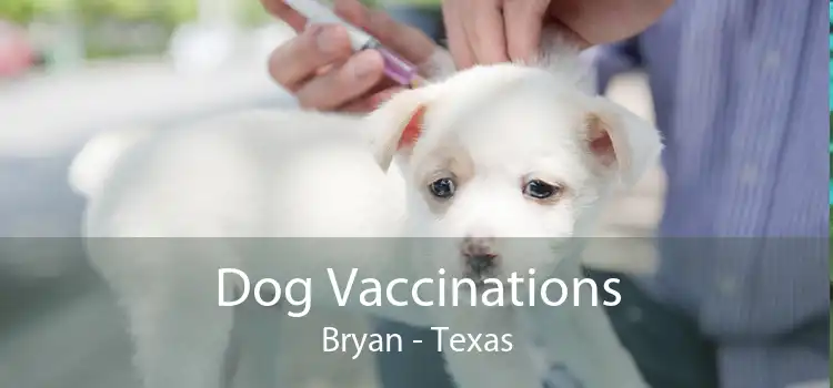 Dog Vaccinations Bryan - Texas
