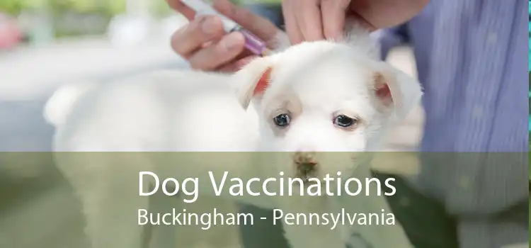 Dog Vaccinations Buckingham - Pennsylvania