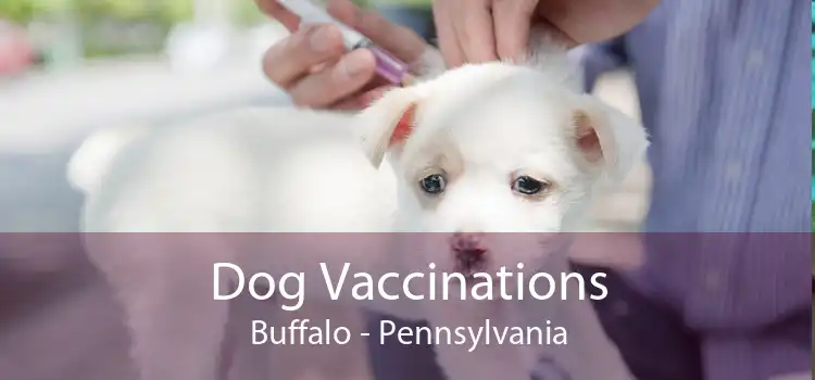 Dog Vaccinations Buffalo - Pennsylvania